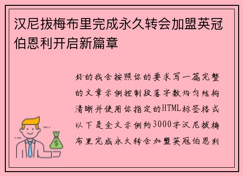 汉尼拔梅布里完成永久转会加盟英冠伯恩利开启新篇章